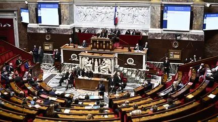法国堕胎入宪再次进入国民议会投票阶段