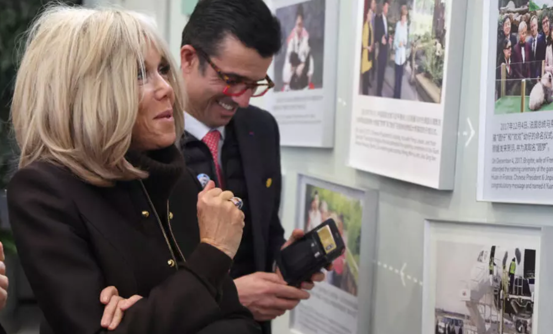 法国“圆梦”：新一对大熊猫计划于2027年来到法国