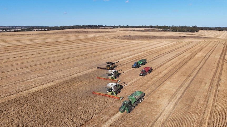 西澳种植户预计将迎来2700万吨的粮食丰收，打破2022年的纪录。